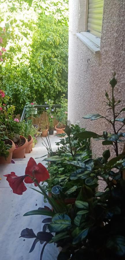 Aegina'S Flowers House Exterior photo